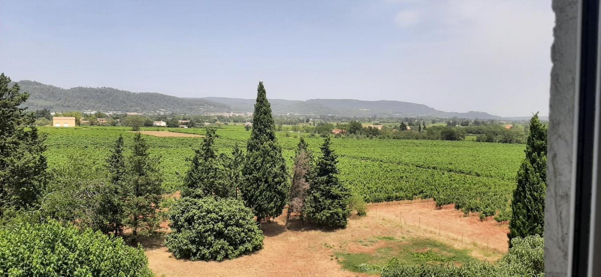 Bed And Breakfast La Grande Lauzade 勒吕克 客房 照片